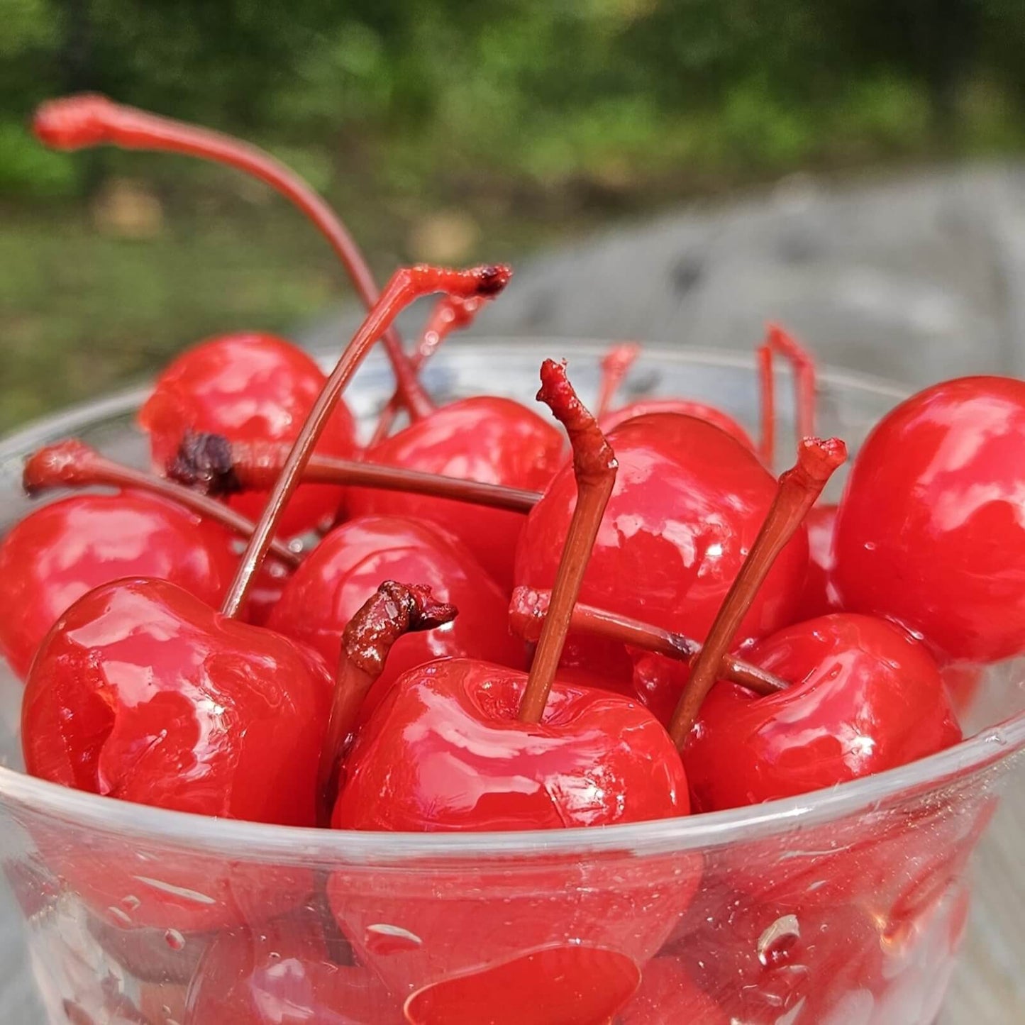 Glass bowl with bright red cherries and a blurry background