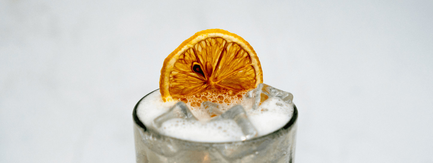 close up of top of glass with fizzy liquid, ice cubes and a dried lemon garnish on a white background