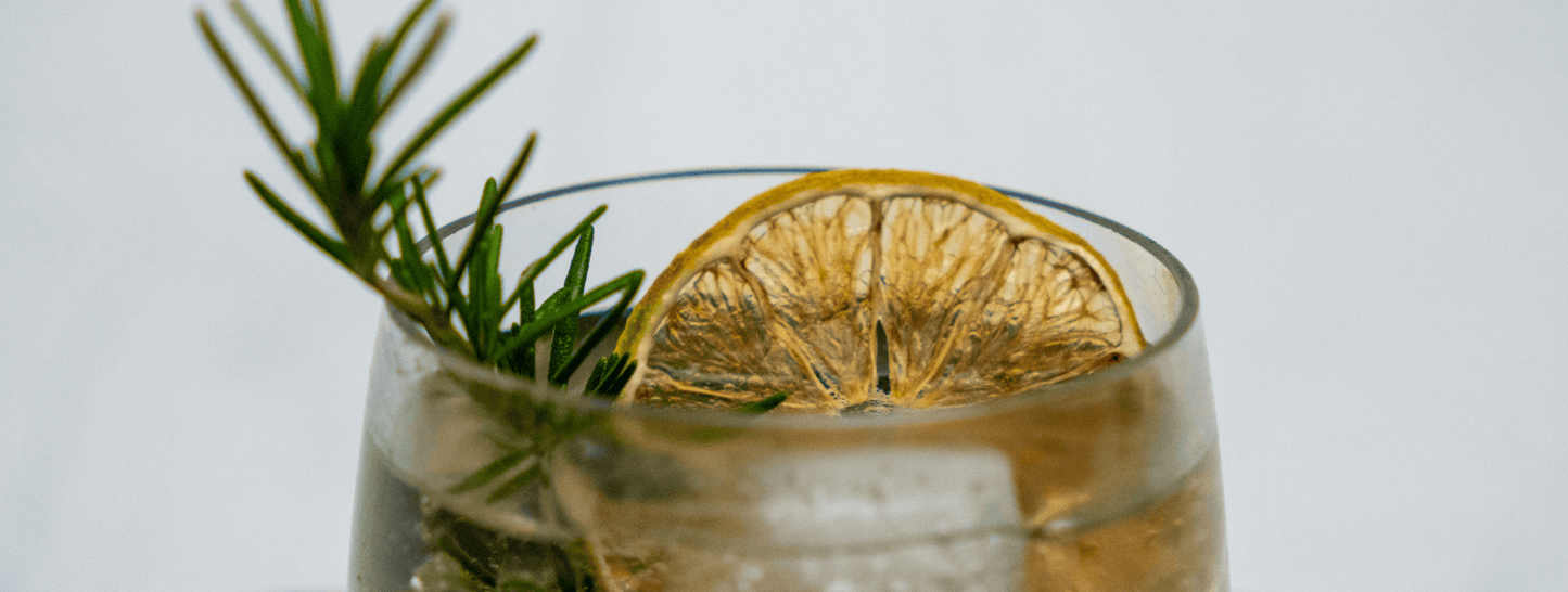 A close up of the elderflower gin and tonic cocktail showing a dried lime slice over the top of a glass with a fresh sprig of rosemary and an ice cube, on a white background