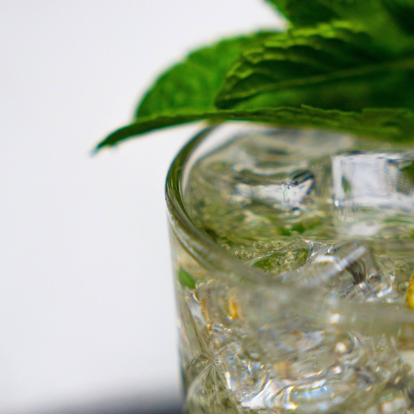 Clear glass with ice cubes and a sprig of mint on a white background