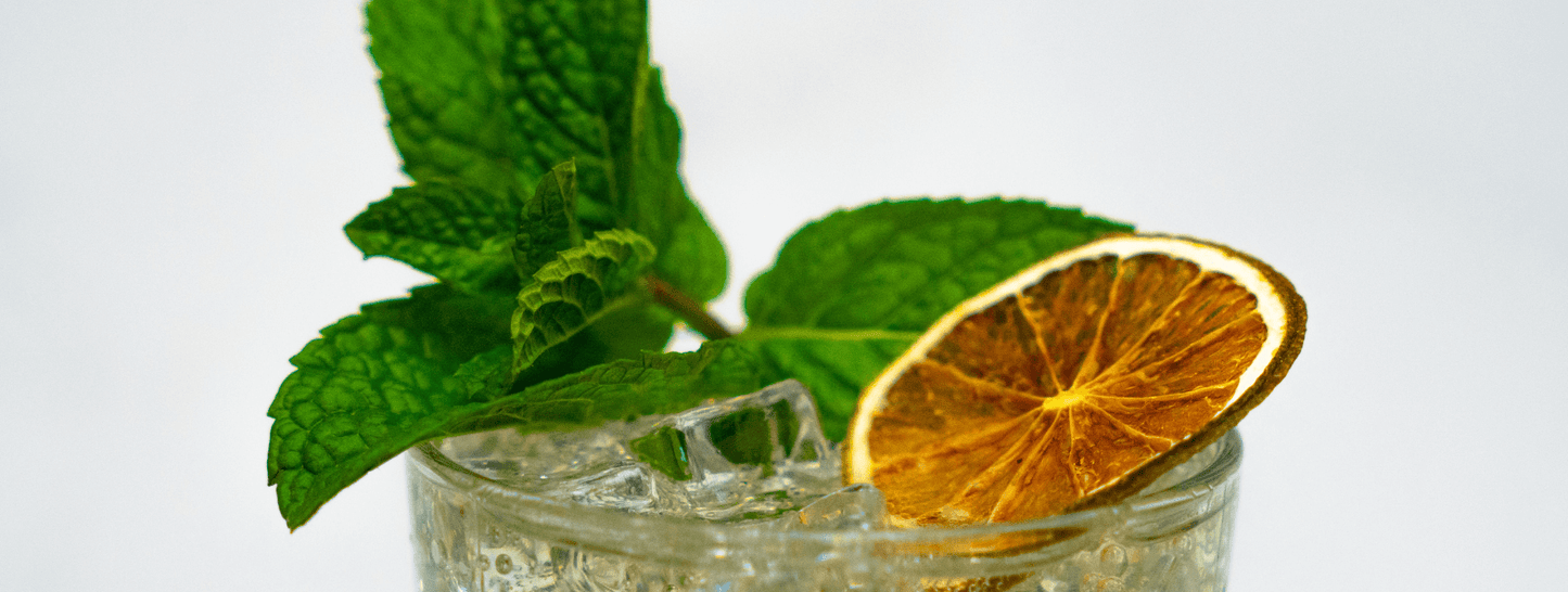 Close up of the tip of a mojito cocktail showing ice at the top of the glass, dried lime slice on an angle resting at the top paired with a fresh sprig of mint leaves on a white background
